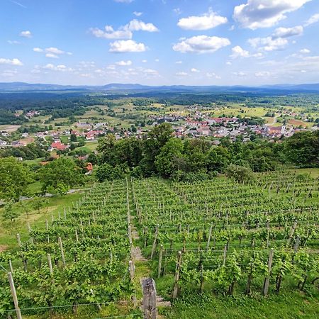 Zidanica-Vineyard Cottage Jakse Semic Exterior photo