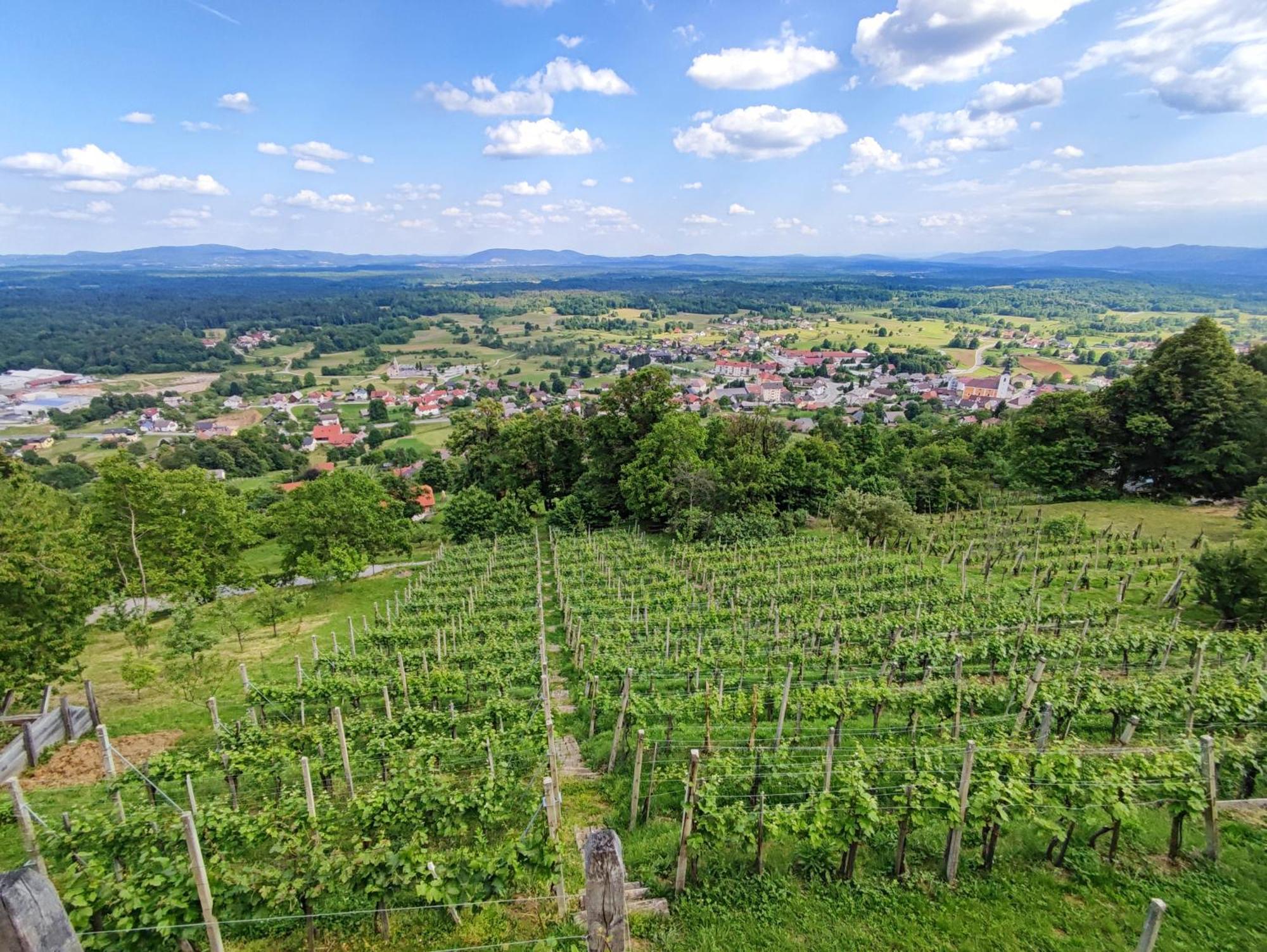 Zidanica-Vineyard Cottage Jakse Semic Exterior photo